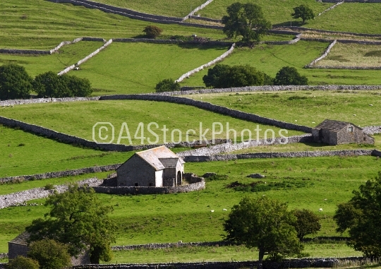 The dales