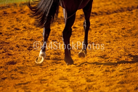 Racehorse hooves in red sand