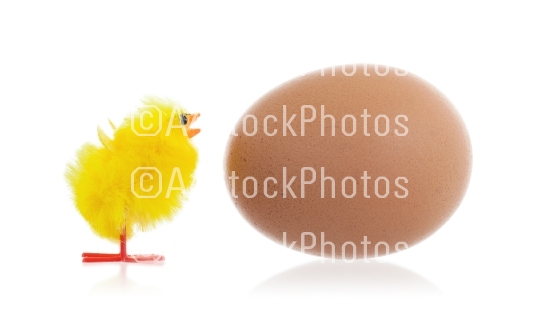 Easter chicks surrounding a large egg