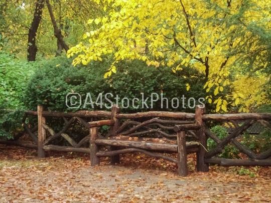 Fall in Central Park - 2