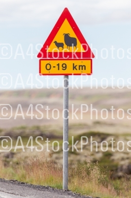 Real Sheep Crossing traffic sign