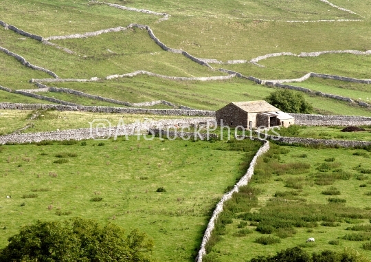 Stone walls in the dales