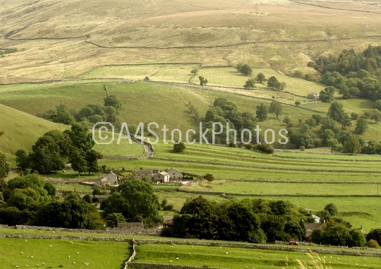 Hill farming in the dales