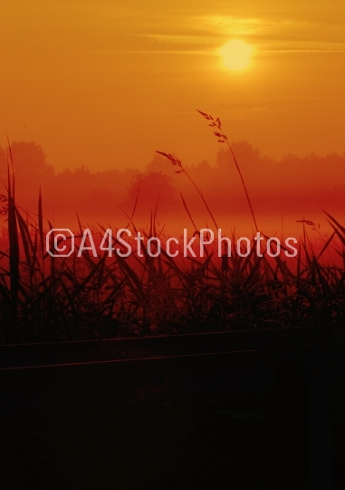 marshes sunrise