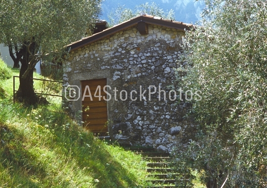 Alpine shepherd's hut