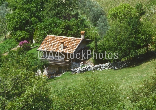 Alpine summer house