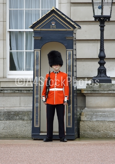 Security guard at Buckingham Palace