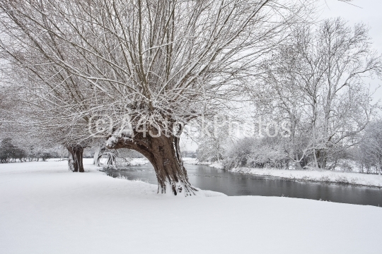 Dedham Vale in Winter