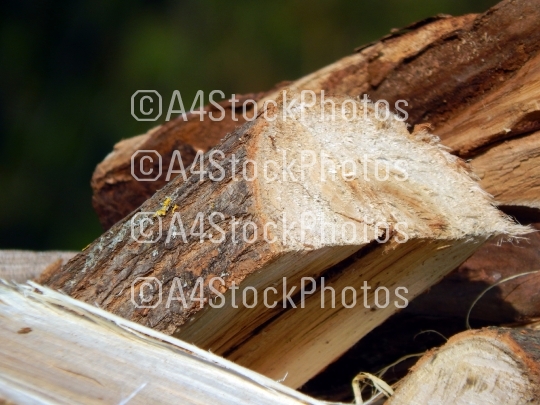 Firewood for heating the house of the deck into the oven