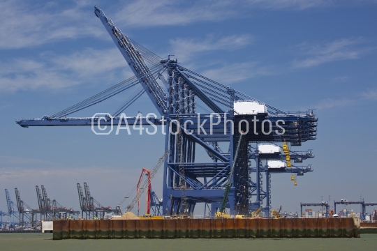 Giant dockside cranes against a bright blue sky