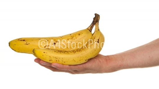 Hand full of bananas