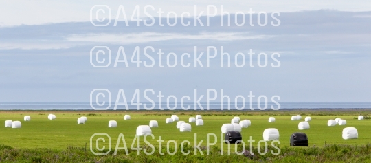 Hay bales sealed with plastic wrap