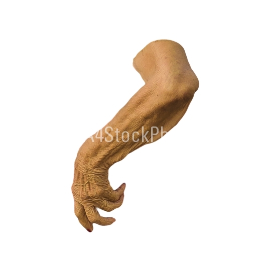 Isolated Old Woman Arm