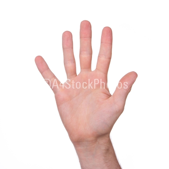 Man's hand isolated 