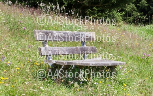 Simple bench in the Alps