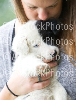 Small Border Collie puppy with blue eye in the arms of a woman
