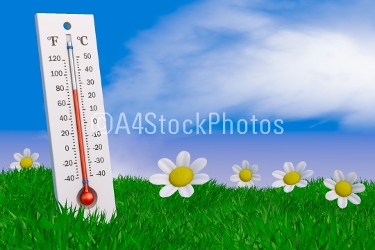 Thermometer and flowers